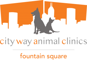 Pet Clinic Near Me | City Way Animal Clinic Fountain Square
