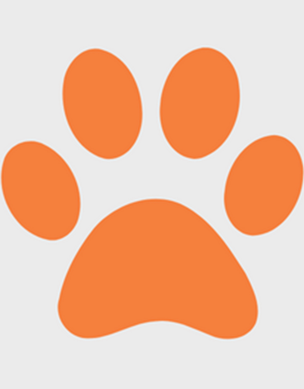 fountainsquare-paw-placeholder fountainsquare-paw-placeholder
